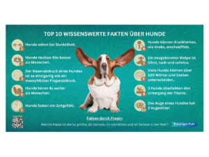 Hundefakten.CrossQuestions.org