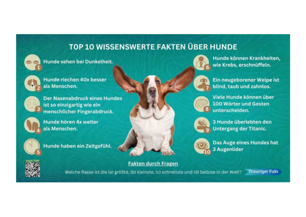 Hundefakten.CrossQuestions.org